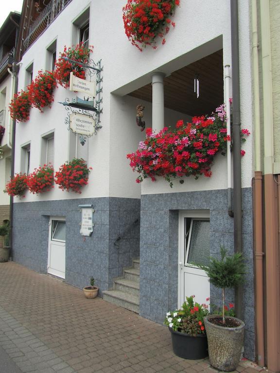 Mosel Panorama Apartman Zell an der Mosel Kültér fotó