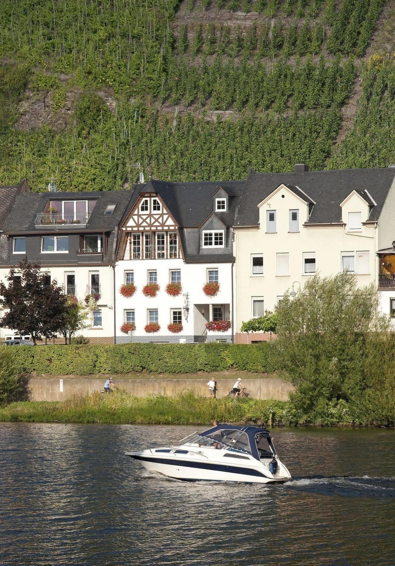 Mosel Panorama Apartman Zell an der Mosel Kültér fotó